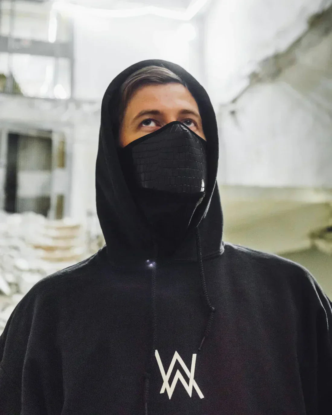 Faded Hoodie Alan Walker Official Merch
