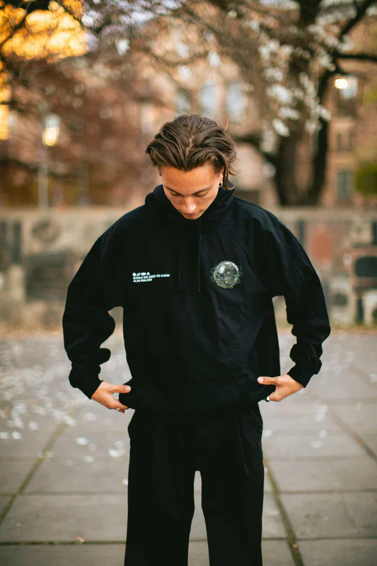 World We Used To Know Hoodie Alan Walker Official Merch