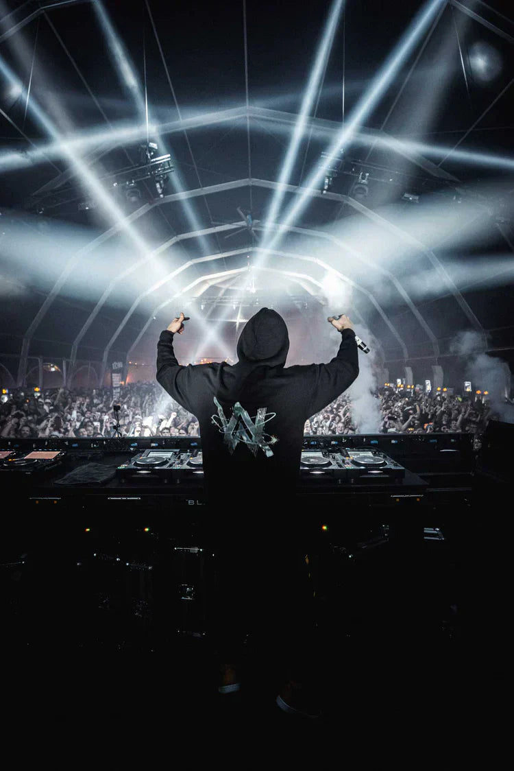 World We Used To Know Hoodie Alan Walker Official Merch