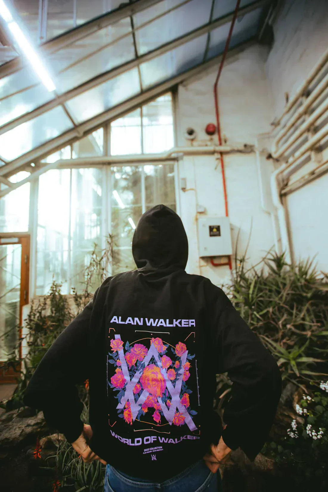 Melting Rose Hoodie Alan Walker Official Merch