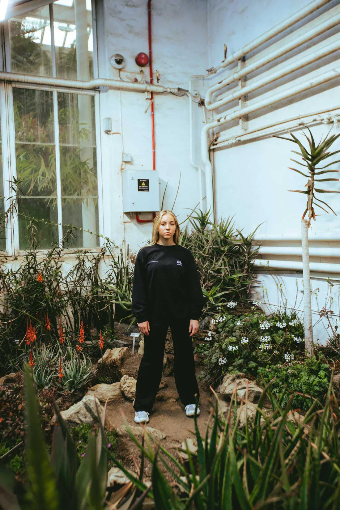 Melting Rose T-Shirt Alan Walker Official Merch