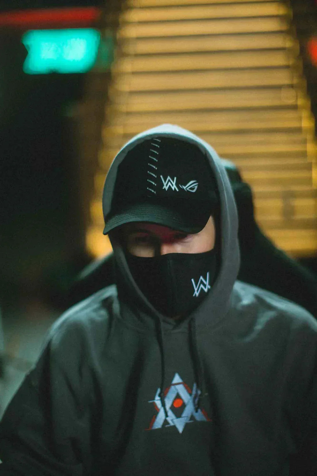 Walker Gaming Hoodie Alan Walker Official Merch